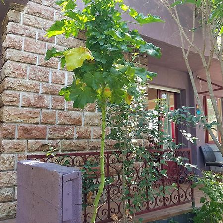 فالراس بلاج Chambres Privees Maison Jardin Toutes Commodites Partagees المظهر الخارجي الصورة