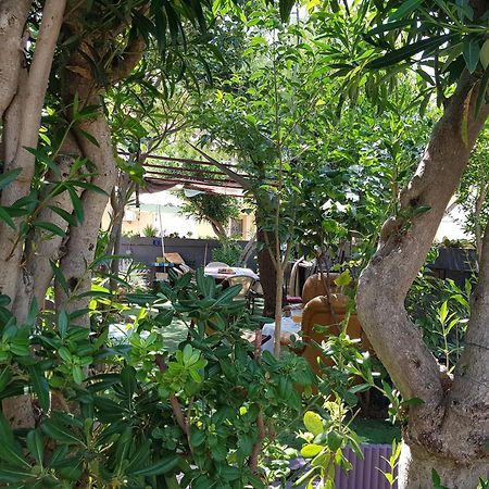 فالراس بلاج Chambres Privees Maison Jardin Toutes Commodites Partagees المظهر الخارجي الصورة